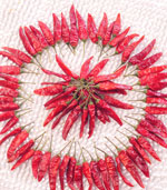 С�׽�����������12�fSHU)